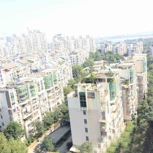 凤凰城房价最新爆料,最新爆料揭示惊人涨幅！”  第3张