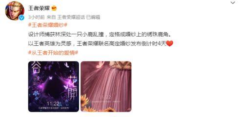 瑶妹最新皮肤爆料视频在线观看,瑶妹新皮肤惊艳亮相！揭秘神秘元素与独特设计  第2张