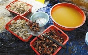 食物最新事件爆料新闻,食物安全事件频发，消费者权益如何保障？  第3张